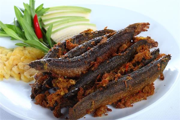 Chương Trình "Về với Thái Bình" VTV| Những món ăn đồng quê 2 | Nhà hàng Quán Cá Thái Bình